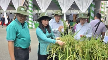 استراتيجية جديدة لزيادة إنتاج الأرز وتقليل الانبعاثات الكربونية في دلتا نهر ميكونغ